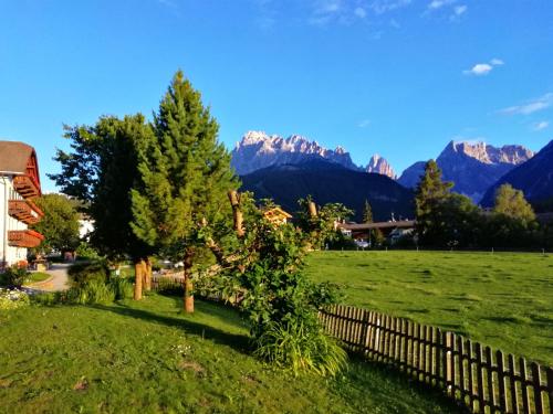 a fence in a field with mountains in the background at Hotel Holzer in Sesto