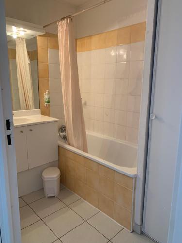 La salle de bains est pourvue d'une baignoire, de toilettes et d'une douche. dans l'établissement Résidence mayflower, au Grau-du-Roi