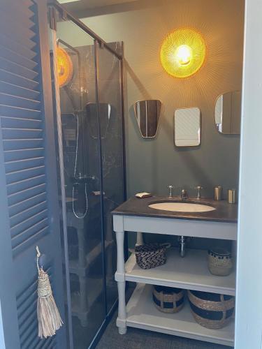 une salle de bain avec un lavabo et une douche dans l'établissement La maison du grand rocher, à Ploubazlanec