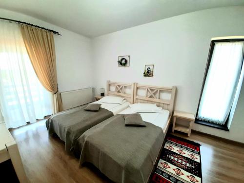 a bedroom with two beds and two windows at Dor de Casa in Doljeşti