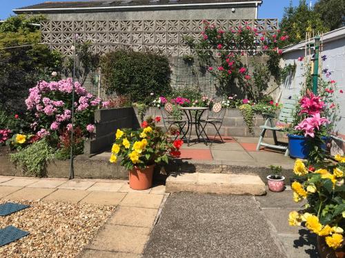 um jardim com flores em vasos num pátio em The Haven em Ballantrae