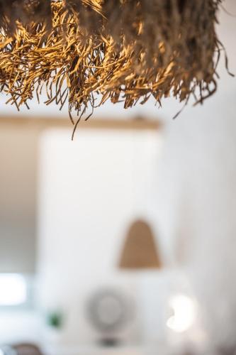 a close up of a plant on top of a counter at Bohemia Luxury Living in Hanioti
