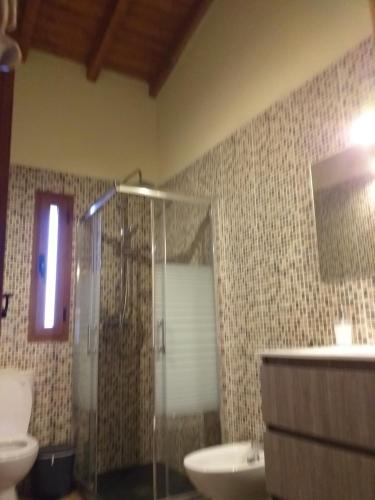 Un baño con ducha, lavabo e inodoro. en Agriturismo El Bounty1, en Puerto del Rosario
