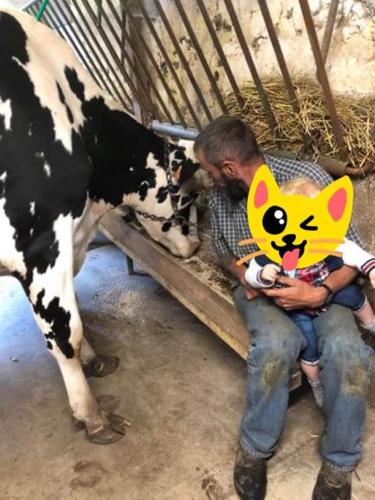a man holding a child wearing a cat mask at ferme pedagogique des pennetieres in Montcorbon