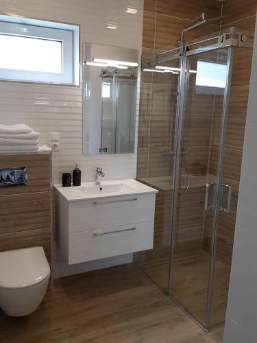 a bathroom with a shower and a sink and a toilet at Mazoji vila in Birštonas