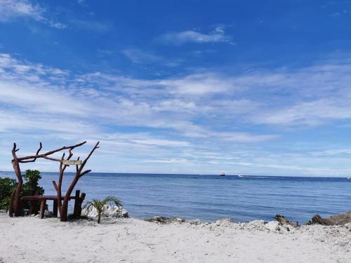 a bench on a beach next to the water at Ocean Vista Maldives,Maafushi in Maafushi