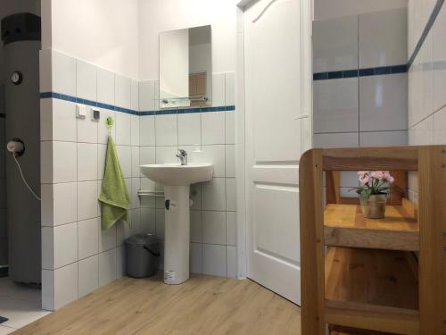 a small bathroom with a sink and a toilet at Siedlisko Role in Role