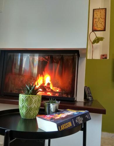 a fireplace in a living room with a table and a book at Emily Villas in Sami