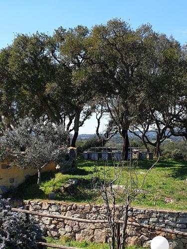 Φυσικό τοπίο κοντά σε αυτό το bed & breakfast