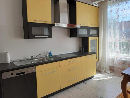 Kuchyňa alebo kuchynka v ubytovaní Žlutý apartmán A6 v Chomutově
