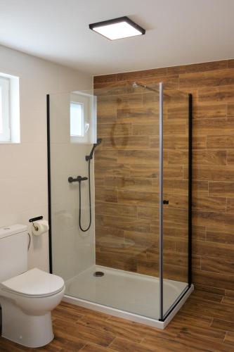 a bathroom with a glass shower with a toilet at OSADA NA WYSPIE in Gdańsk