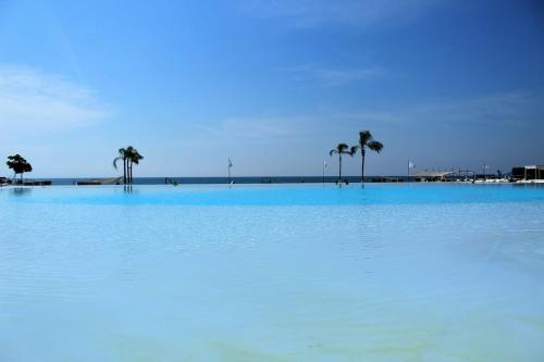 a large pool of water with palm trees in the background at Estudio 310 Nuevo Vallarta, frente al mar, totalmente equipado y amueblado! in Nuevo Vallarta 