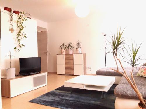 a living room with a tv and potted plants at Traumapartment Pöstlingberg, reservierter Parkplatz, 4 Schlafzimmer in Linz