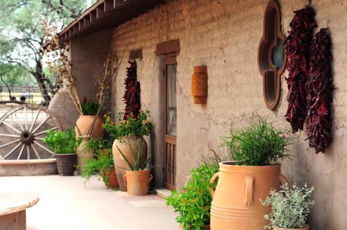a group of potted plants on the side of a building at Kay El Bar Guest Ranch in Wickenburg