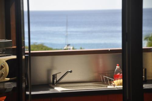 ブイヤントにあるLES BUNGALOWS D'ARLYの海の景色を望む窓付きのキッチンシンク