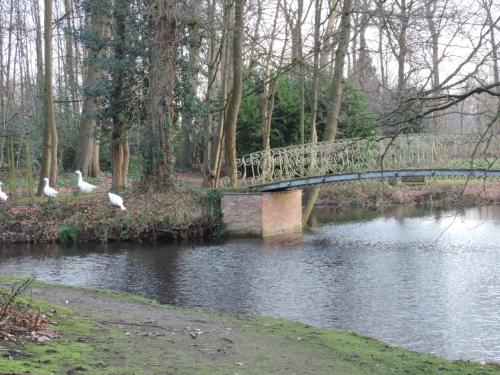 a bridge over a river with birds crossing it at Eremyten Hof in Evergem