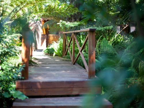 a wooden bridge in a garden with plants at Andelomi Forest Lodge in Stormsrivier
