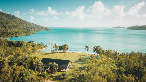 eine Luftblick auf einen Strand mit Palmen und das Meer in der Unterkunft Paradise Cove Villa in Airlie Beach