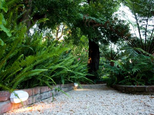a garden with ferns and plants and a brick wall at Andelomi Forest Lodge in Stormsrivier