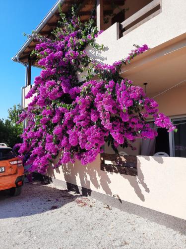 Gallery image of Two Bedroom Apartment ''Sunrise'' in Pakoštane