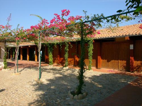a group of trees with pink flowers in front of a building at Camping Costa Ponente in Cefalù