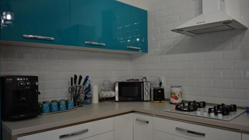 a kitchen with a counter top with a microwave at Pensiunea Inima Maramureșului in Breb