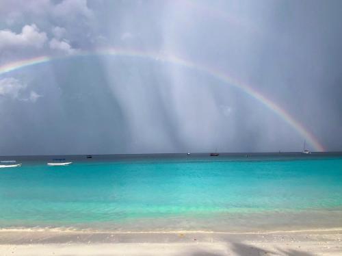 a rainbow over the ocean with a beach and water at Zava Nungwi in Nungwi