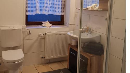 ゾーリンゲンにあるFerienhaus Zoe 120 m2の洗面台、トイレ、窓のあるバスルーム