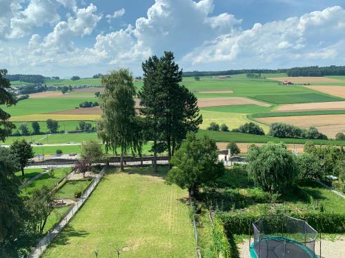 een luchtzicht op een veld met bomen en gras bij Hôtel Lion d'Or Romont in Romont