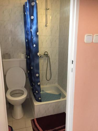 a bathroom with a toilet and a shower at Pensjonat ''TRYTON'' in Karwia
