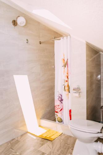 a bathroom with a white toilet and a shower at Apartmani Markešić Ramsko jezero in Prozor