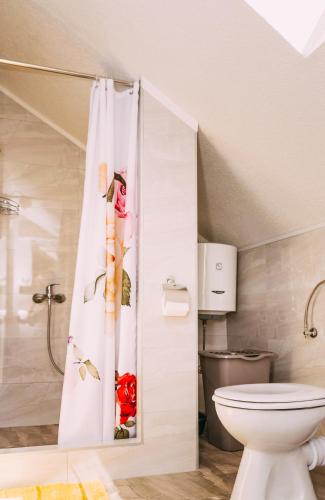 a bathroom with a toilet and a shower curtain at Apartmani Markešić Ramsko jezero in Prozor