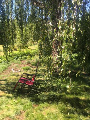 a red chair sitting in the grass under a tree at Arthome Småland in Ruda