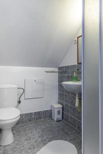 a bathroom with a toilet and a sink at Pěkná Vyhlídka in Závažná Poruba