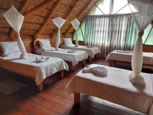 a group of four beds in a room with windows at East Africa Safaris in Chizavane