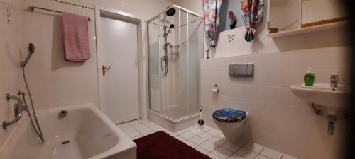 a bathroom with a shower and a toilet and a sink at Ferienwohnung Bausenbergblick in Niederzissen