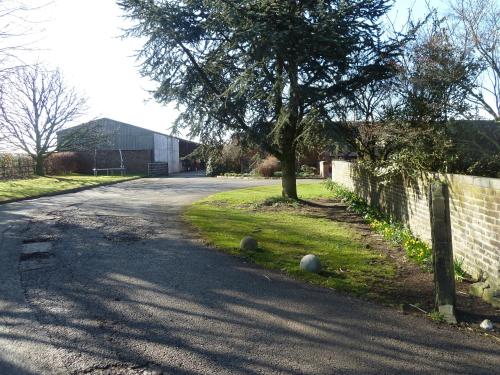 A garden outside Domvilles Farm 