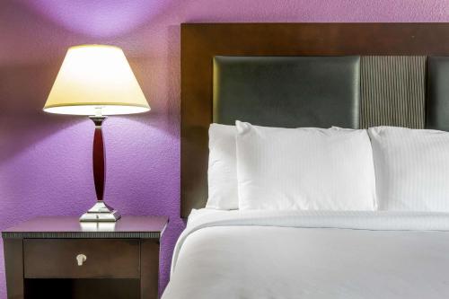 a bedroom with a bed and a lamp on a night stand at La Quinta by Wyndham Kyle - Austin South in Kyle