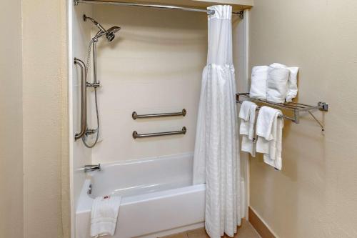 a bathroom with a tub and a shower with towels at Comfort Inn & Suites in Lincoln