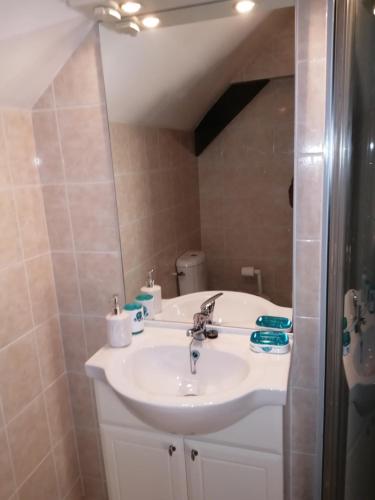 une salle de bain avec un lavabo blanc et un miroir dans l'établissement The Cherries Houehdeu, à Naizin