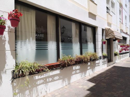 a building with windows with potted plants on it at Mare Estepona Hotel in Estepona