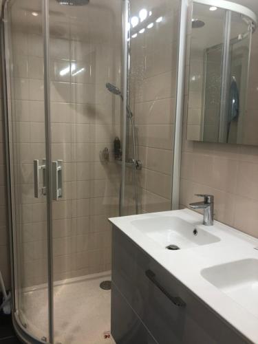 une salle de bain avec une douche, un lavabo et un miroir dans l'établissement SON DES MOUETTES PLAGE, à Trouville-sur-Mer