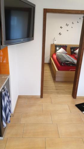 a room with a television and a bed with birds on the wall at Ferienwohnung Seesicht in Brunnen