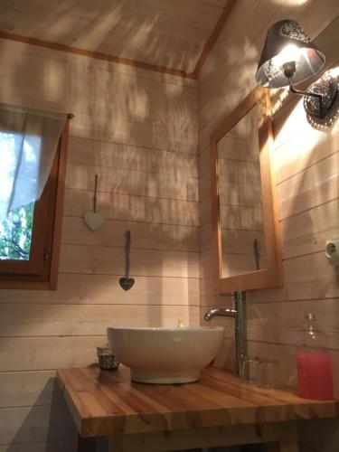 une salle de bain avec un lavabo et un miroir dans l'établissement La cabane des amoureux, à Barjols