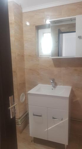a bathroom with a white sink and a mirror at Cabana plaiului in Vişeu de Sus