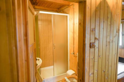 a small bathroom with a shower and a toilet at Pensiunea Trei Ponei in Corbeni