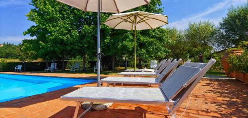 a row of chairs with an umbrella next to a pool at Torrebianca Tuscany in Rignano sullʼArno