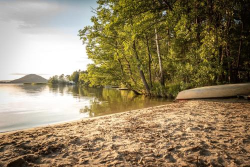 a bench on the shore of a body of water at Lakepark Residence in Staré Splavy