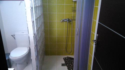 uma casa de banho com um WC e um chuveiro em ATHINA'S HOUSE em Nea Poteidaia
