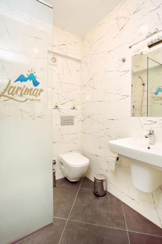 a bathroom with a toilet and a sink at Larimar Suite Hotel in Oludeniz